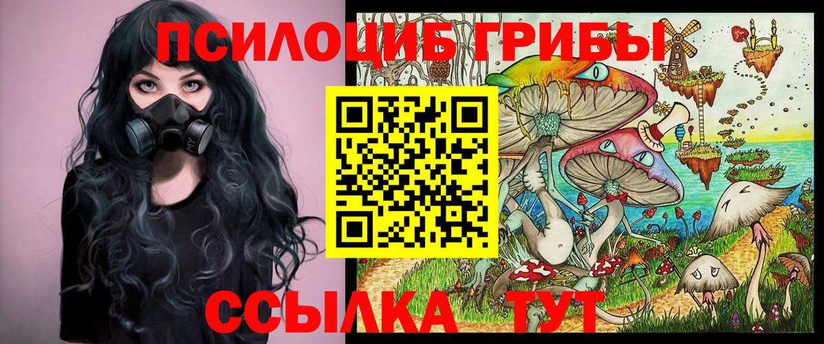 Гатчина  Псилоцибиновые грибы MAGIC MUSHROOMS  Псилоцибиновые грибы мухоморы  Вход с VPN 