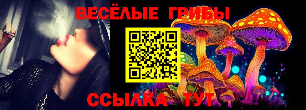 Псилоцибиновые грибы Magic Shrooms Гатчина